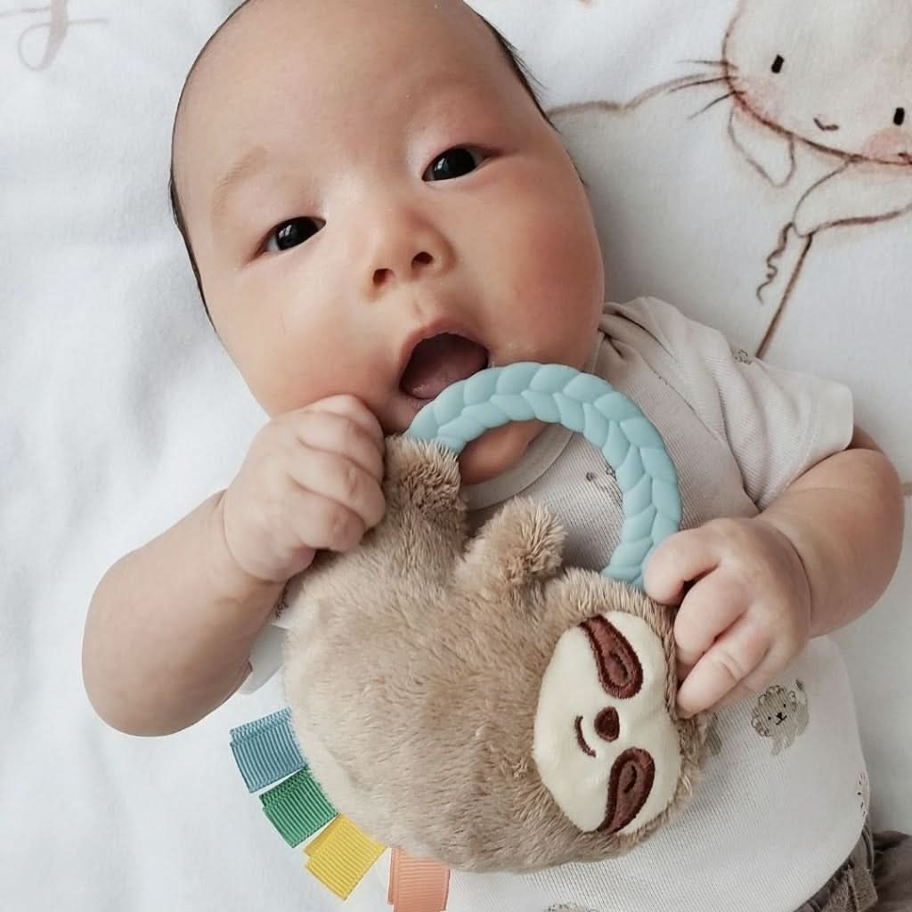 Ritzy Rattle Pal™ Plush Rattle with Teether - Image 5